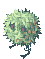 Rafflesia, walking