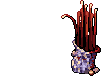 Penomena, dying