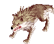 Desert Wolf, standing