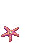 Aster, dying