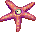 Aster, standing