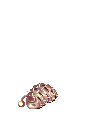 Caterpillar, dying
