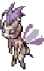 Giant Hornet, walking