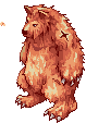 Grizzly, standing