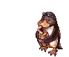 Galapago, attacking