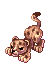 Baby Leopard, standing