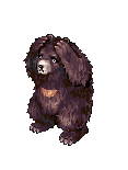 Zipper Bear, dying