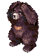 Zipper Bear, standing