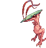 Novus, attacking
