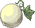 Gourd, standing
