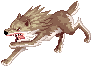 Desert Wolf, walking