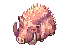 Gullinbrusti, dying