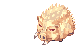 Golden Savage, standing