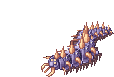Centipede, attacking