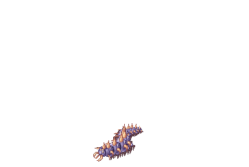 Centipede, dying