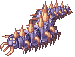 Centipede, walking