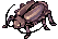 Moks Bugs